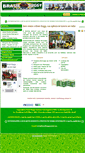 Mobile Screenshot of brasilbuggynatal.com
